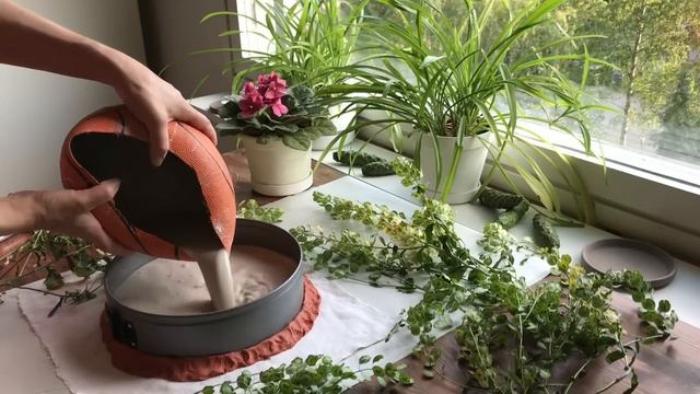 Imprints of Plants/Gypsum/Tutorial/Отпечатки растений/Гипс/Мастер-класс