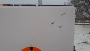 Стрельба по движущейся мишени