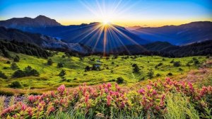 Льется музыка в душу рекой