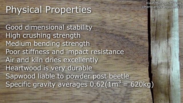 Kiaat (pterocarpus angolensis) - Mitch's World of Woods смотреть онлайн