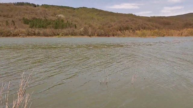 Сезон плотвы 2022 !!! Загорское водохранилище!!!