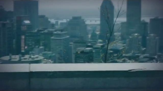 The Blue Crown Deck. Колода карт смотреть онлайн