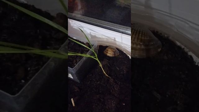 Спустя 4 месяца смотреть онлайн