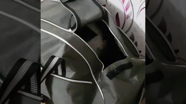 Французский бульдог Тимоша услышал гром и спрятался смотреть онлайн