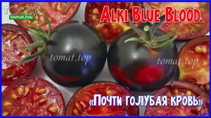 Томат Alki Blue Blood или томат Почти голубая кровь. Обзор сорта, характеристики, описание, отзыв