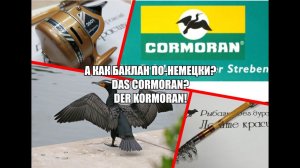 Юбилейное! 4100-4200! А как баклан по-немецки? Cormoran? DER KORMORAN!/ What is cormoran in German?