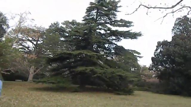 Крым, Алупка, Воронцовский парк смотреть онлайн