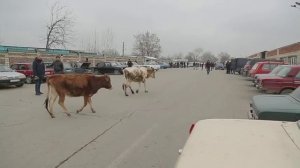 Азербайджан: Древний Народ Удины