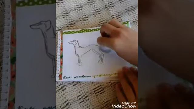 Как рисовать (Тазы) среднеазиатскую барзую 🐕 смотреть онлайн