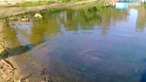 ЗАТО Светлый. рыбалка