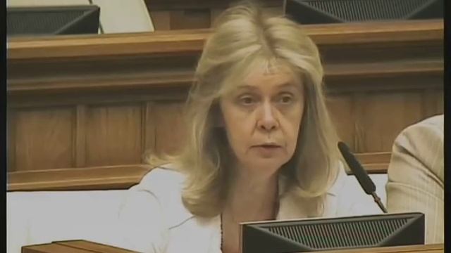 Депутат МО: Зачем нам липовые общественные палаты? смотреть онлайн