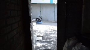 Дом в ближайшем пригороде Таганрога