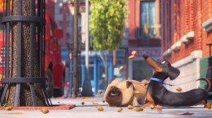 Тайная жизнь домашних животных. Страстные страсти