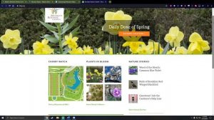 How to Visit Brooklyn Botanic Gardens Online