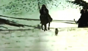 Коксерек | Серый Лютый | Конил Толкыны | Группа Улытау