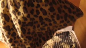 Что сшить морским свинкам?