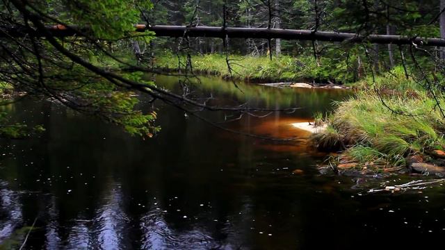 Таганай, дебри реки Киалим. смотреть онлайн