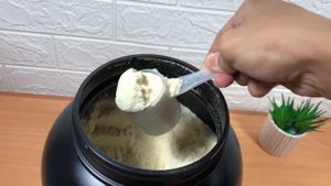 Optimum Nutrition | Gold Standard 100% Whey Protein || Team Rangrang
