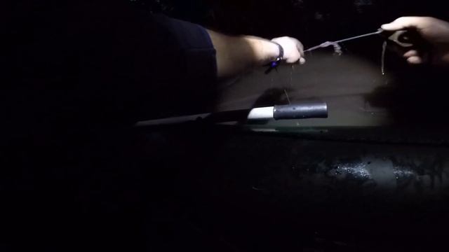 Ловля сома в Июле на закидушки. Catfish смотреть онлайн