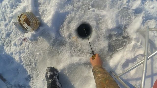 Подлёдная рыбалка на Голубом заливе. Капчагай. Вобла. 12 февраля 2023г. смотреть онлайн