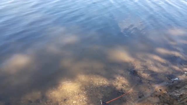 Грузия Ткибули 07.06.2021г. смотреть онлайн