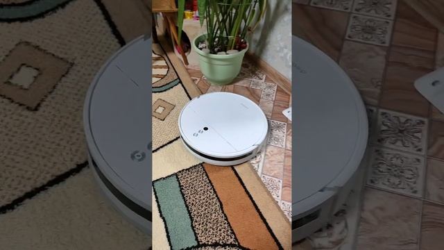 Голосовой пакет "Сварливая жена" на роботе-пылесосе xiaomi