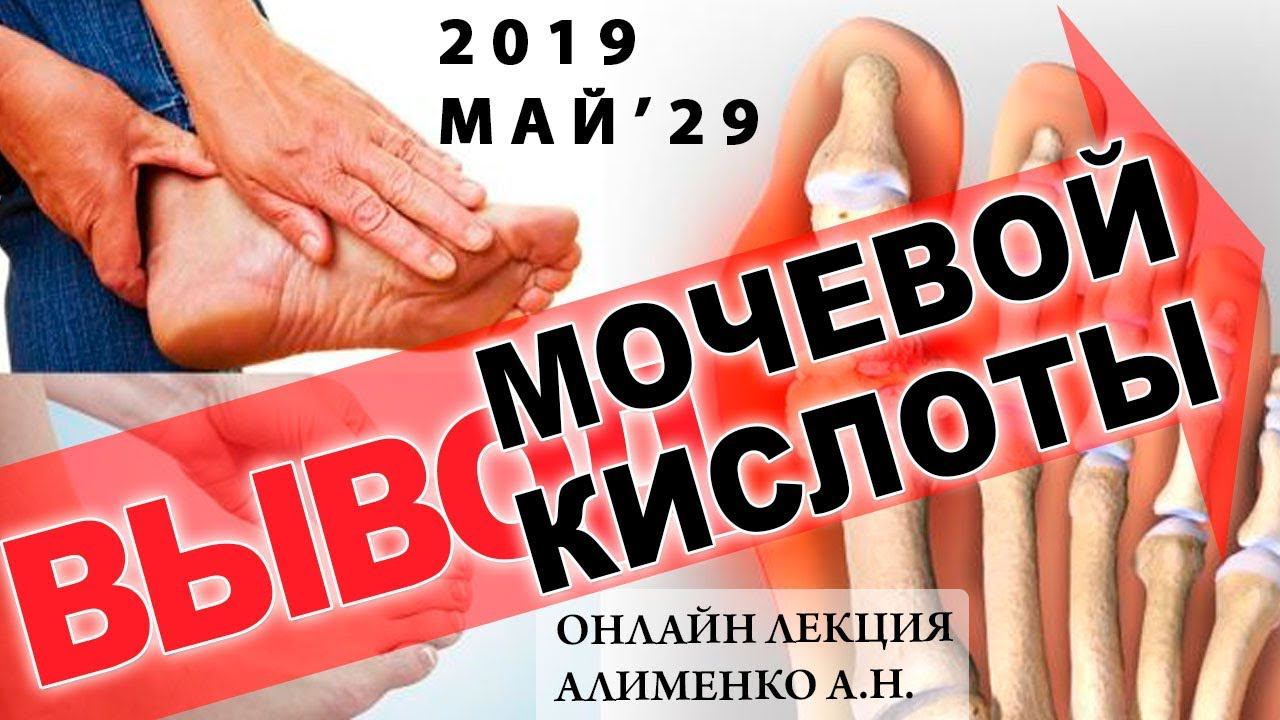 Вывод мочевой кислоты, Ксенобиотики и Янтарная кислота. Алименко А.Н. (29.05.2019)