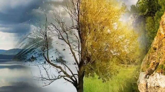 видеоПОЭЗИЯ Р  Рождественский стих  Спасибо жизнь