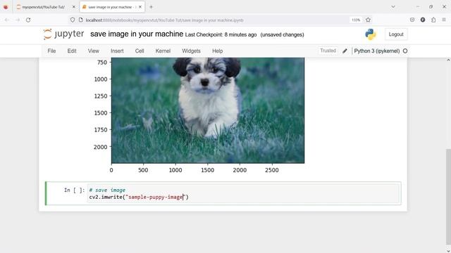 OpenCV Tutorial For Beginners 6: Write / Save image in Machine | Python