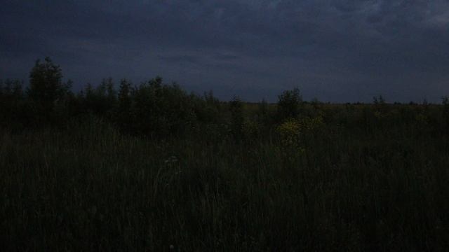 Canon EOS RP. Low Light Video Test. 4K. Белые ночи смотреть онлайн