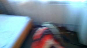 ?????✈️Самый честный обзор гостиницы Ставрополь. #рыжий_волк