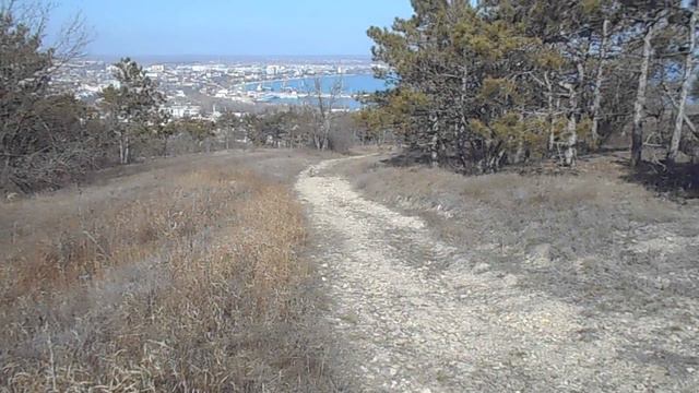 Крым. Феодосия. Заяц выходит в "атаку"!  1 марта 2020 года смотреть онлайн