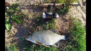 #257 | Мормышинг | Ловля белой рыбы на спиннинг | Густера, плотва, лещ |