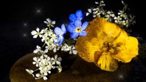 С Днём Рождения, Евгения. Красивое поздравление для Женечки