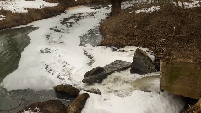 Алексин, сброс нечистот с городских очистных продолжается. 16 марта 2019г смотреть онлайн