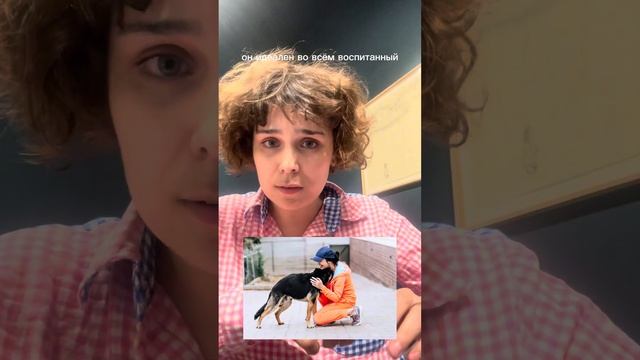 «Ищем дом». Эпизод 6. Овчарёнок Джек