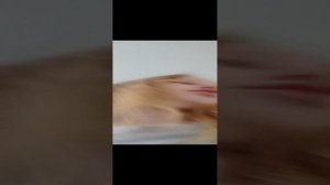 VID_20240911_111549.mp4