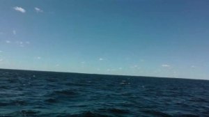 Катер Гидрограф в Белом море. Идем  на Соловки.