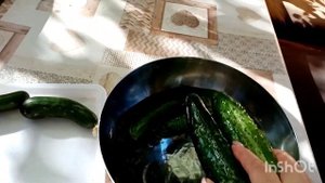 336?как сохранить собранные огурцы подольше свежими