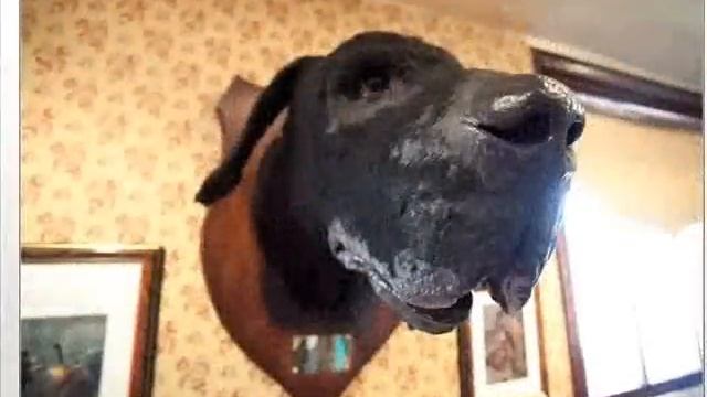 The Sherlock Holmes Museum in London смотреть онлайн