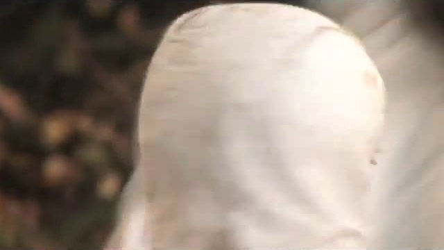 57. Сила Руси (2011) смотреть онлайн