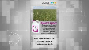 Видеокаталог. Виал Траст