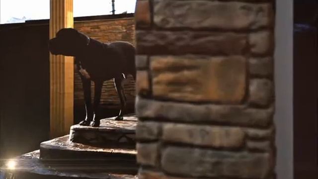 FlexCmento2 (1).avi смотреть онлайн