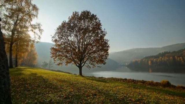 ?Маргинал про смысл в ИСКУССТВЕ смотреть онлайн