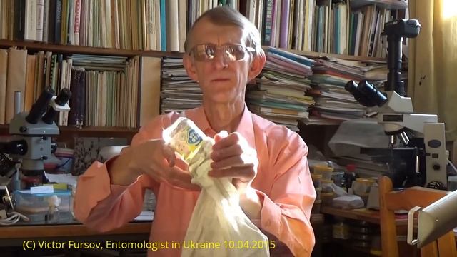 Кто Живет Внутри Семян Шиповника?  Рассказ Энтомолога.