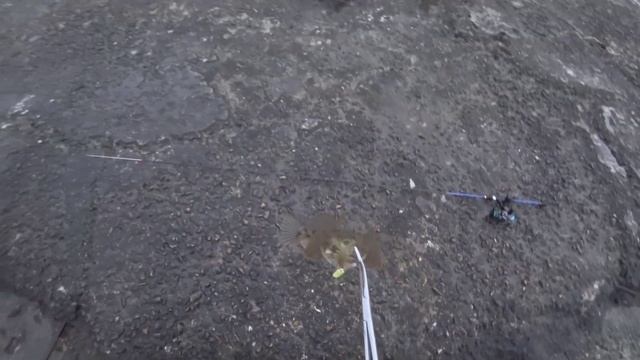 Рыбалка на Чёрном море.Май 2023#рыбалка #рыбалканачерномморе #rockfishing #туапсинскийрайон