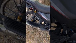 alpha (альфа) rx15