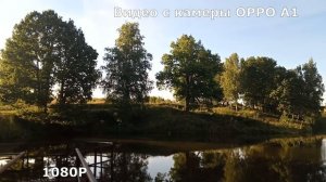 На что я снимаю видео? Сравнение смартфонов и экшн-камеры.