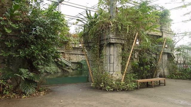 Nikon coolpix B700 video test смотреть онлайн