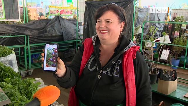 Пошла рассада. Что есть на рынке смотреть онлайн